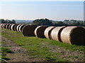 Miles of bales