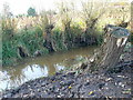 SJ3927 : Drainage ditch by Eirian Evans