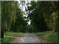 The road to Harcourt Farm and Harcourt