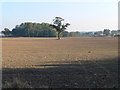 SJ4229 : Shropshire farmland by Eirian Evans