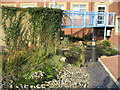 View of courtyard garden