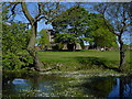 Shirland - Pond to south of Church