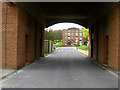 EDB Building, University of Sussex