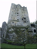 W6075 : Blarney Castle's North Wall by Andy Beecroft