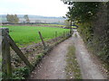 Sutton Spring Wood - Access Road