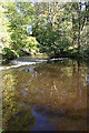 Autumn reflections on a weir on the River Lossie