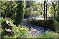 Lively waters below a weir on the Lossie flowing eastwards