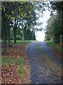 Private road leading to Whitley Manor House