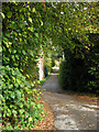 Access road to Hall Farm