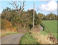 Looking along Fen Lane towards Chapel Farm