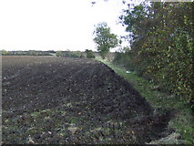  : Ploughed field near Mavourn Farm by Jonathan Billinger