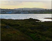 J5283 : Bangor Town from Ballymacormick Point by Rossographer