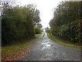 Driveway to Blagdonmoor Wharf