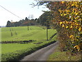 Fen Lane on a bright autumn day