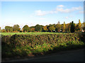 View NW across Brick Kiln Road