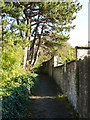 Path near the viewpoint on Beechen Cliff