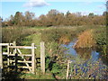 River Gipping footpath