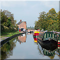 SJ9210 : Approaching Gailey, Staffordshire and Worcestershire Canal by Roger  D Kidd