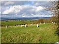 View north east from the bridleway