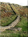 NY7567 : Hadrian's Wall and turret near Peel (2) by Mike Quinn