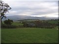 Overlooking Llwynpenderi Farm