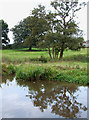 Canalside Grazing Land, Ingestre, Staffordshire