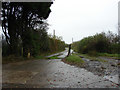 Farm access road east of Holsworthy Beacon