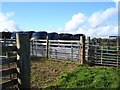 Silage bales and sheep pens