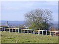 On Merrow Downs