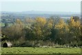 View east from Wick Farm