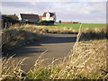 Eastern Edge of Pittenweem from the Coast