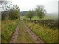 Track From Castlehill Cottage