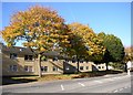 Houses or flats, Bradford Road, Hipperholme