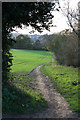 Footpath to Bull Lane