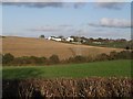 Valley below Eastacombe