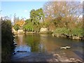 SP4677 : Little Lawford - River Avon by Ian Rob