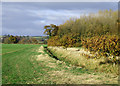 Fields, Brook and Woodland, near Bourton, Shropshire