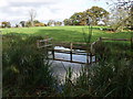 Watering on the Prees Branch Nature Reserve