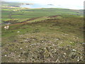 View south-east along the summit ridge of Mynydd Anelog