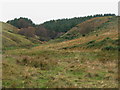 The cleugh of Harsondale Burn