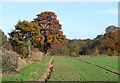 Towards Stocking Lane, near Nordley, Shropshire