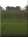NT8843 : Twizel Castle by cathietinn