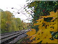 Aldershot-Guildford Line