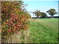 West of Blackwell Farm