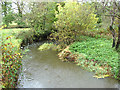 River Waldon from the A388 bridge