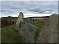 NJ7320 : East Aquhorthies Stone Circle by F Leask