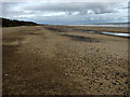 Scratby Beach below The Esplanade