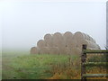 Foggy hay bales