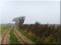 SJ7915 : Farmland to the west of the public footpath by A Holmes