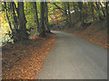 Country road through wooded hillside.